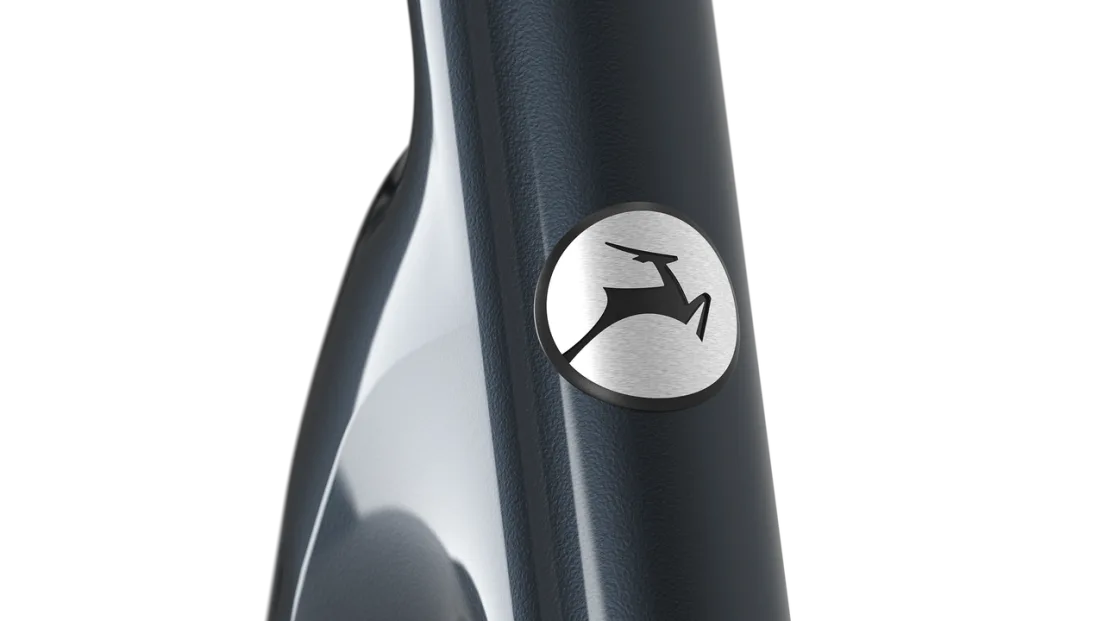 Gazelle Grenoble 3.0 C5 HMB  Dames - Anthracite Grey (glans)