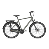 Gazelle Chamonix C8 Heren T8 - Clay Green (mat)