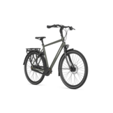 Gazelle Chamonix C8 Heren T8 - Clay Green (mat)