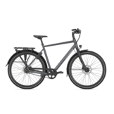 Gazelle Chamonix S11 Heren - Cloud Grey (mat)