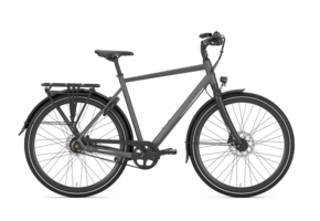 Gazelle Chamonix S11 Heren - Cloud Grey (mat)