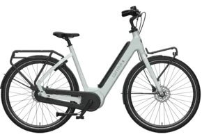 Cortina E-Common Integrated DB7 AL+ MM - Dames - Sea Grass Gloss