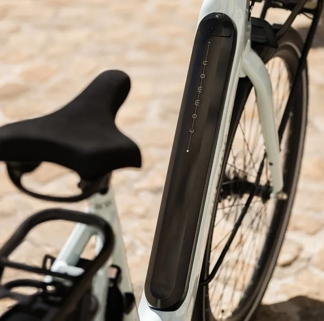 Cortina E-Common Integrated DB7 AL+ MM - Dames - Sea Grass Gloss