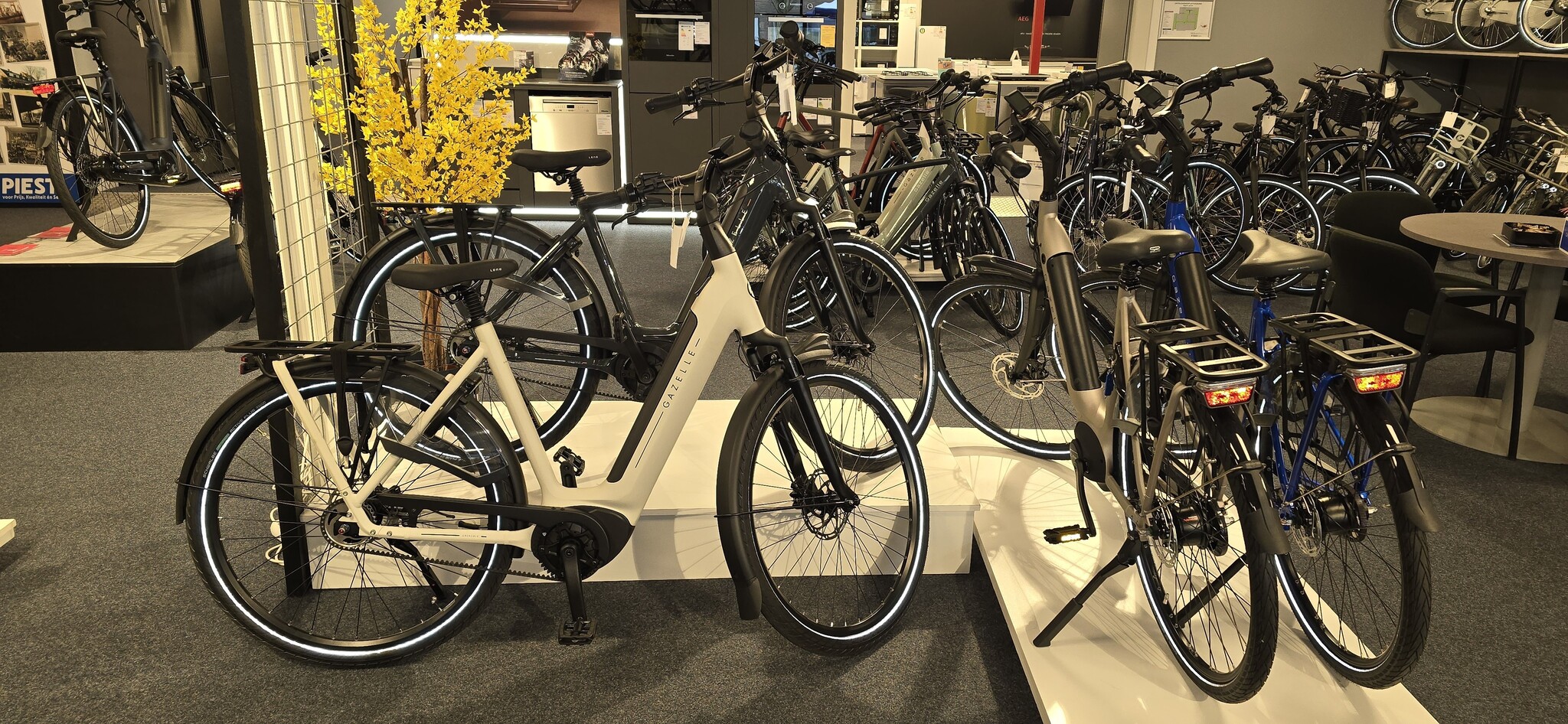 De nieuwste e-bikes (model 2025) bij Piest