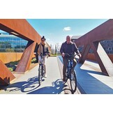 Freebike Harlem M420 Dames Champagne  L 630 Wh