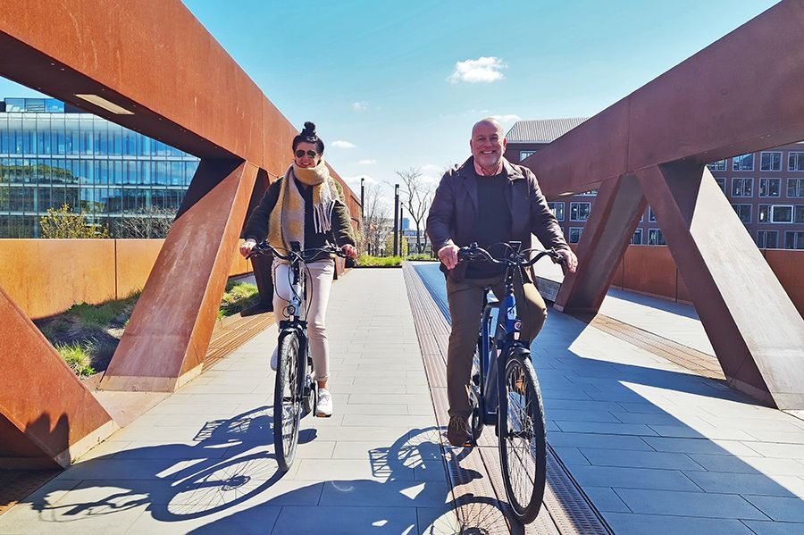 Freebike Harlem M420 Dames Champagne  L 630 Wh