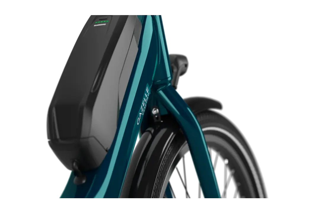 Gazelle Easyflow HMS  418W S7 Dames  - pine green (glans)