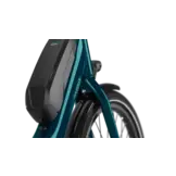 Gazelle Easyflow HMS  418W S7 Dames  - pine green (glans)