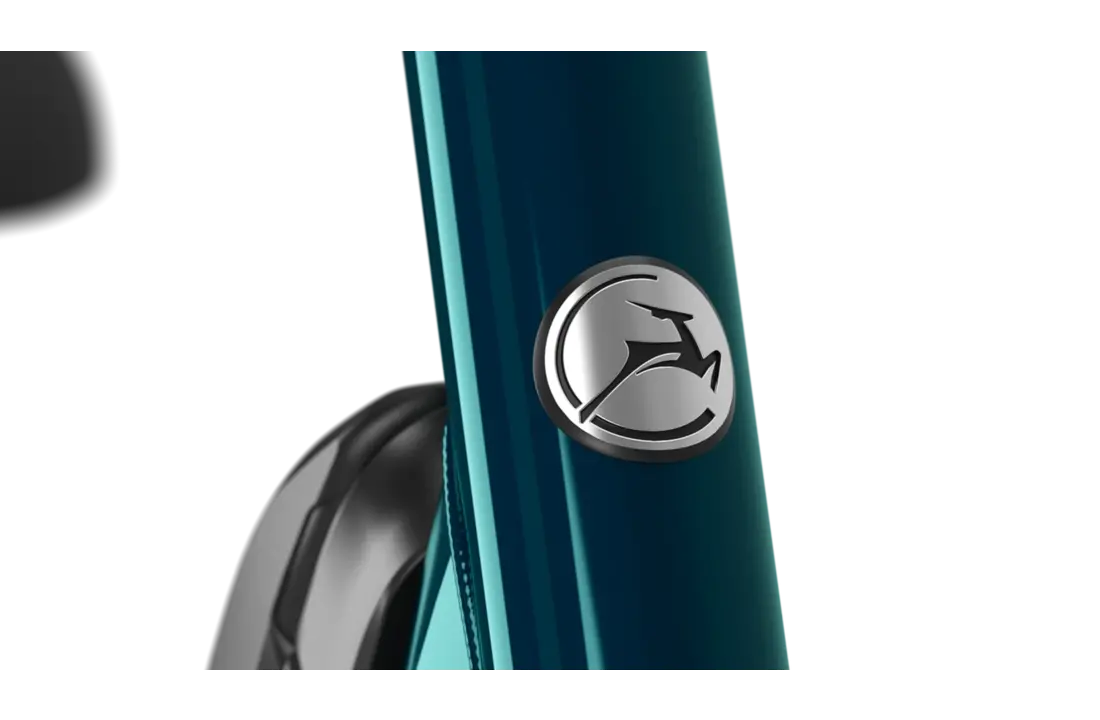 Gazelle Easyflow HMS  418W S7 Dames  - pine green (glans)