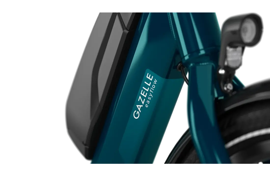 Gazelle Easyflow HMS  418W S7 Dames  - pine green (glans)