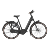 Gazelle Grenoble C8+ HMB S8 600Wh Dames - Black (mat)