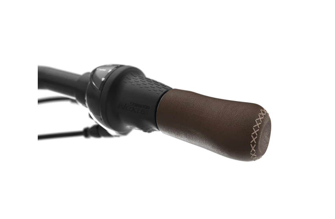 Gazelle Grenoble C8+ HMB S8 600Wh Dames - Black (mat)