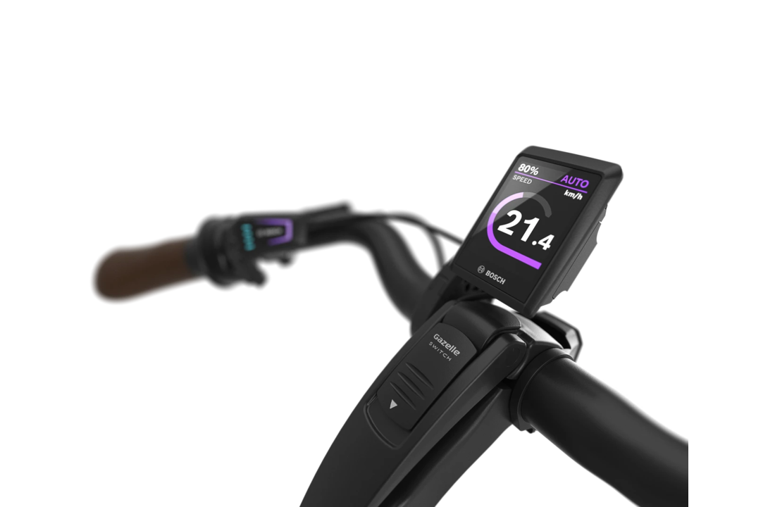 Gazelle Grenoble C8+ HMB S8 600Wh Dames - Black (mat)