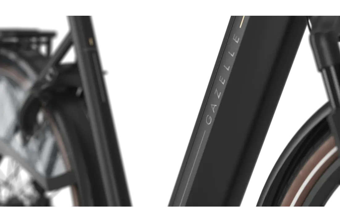 Gazelle Grenoble C8+ HMB S8 600Wh Dames - Black (mat)