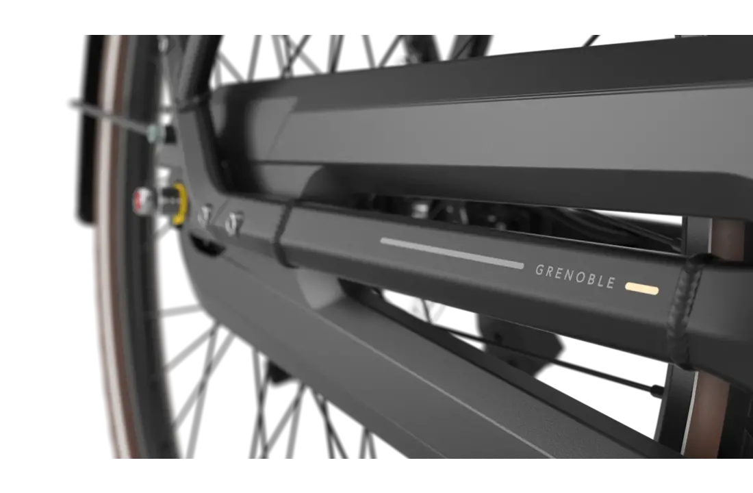 Gazelle Grenoble C8+ HMB S8 600Wh Dames - Black (mat)