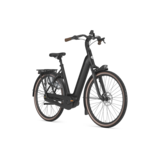 Gazelle Grenoble C8+ HMB S8 600Wh Dames - Black (mat)