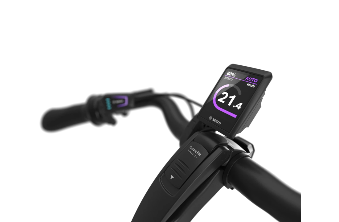 Gazelle Grenoble 3.0 C8+ HMB S8 540Wh Dames - Twilight Green (mat)