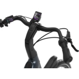 Gazelle Grenoble 3.0 C5 HMB S5 Heren - Anthracite Grey (glans)