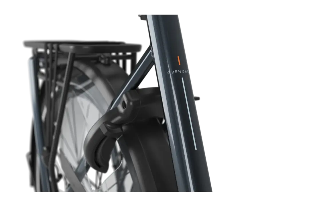 Gazelle Grenoble 3.0 C5 HMB S5 Heren - Anthracite Grey (glans)