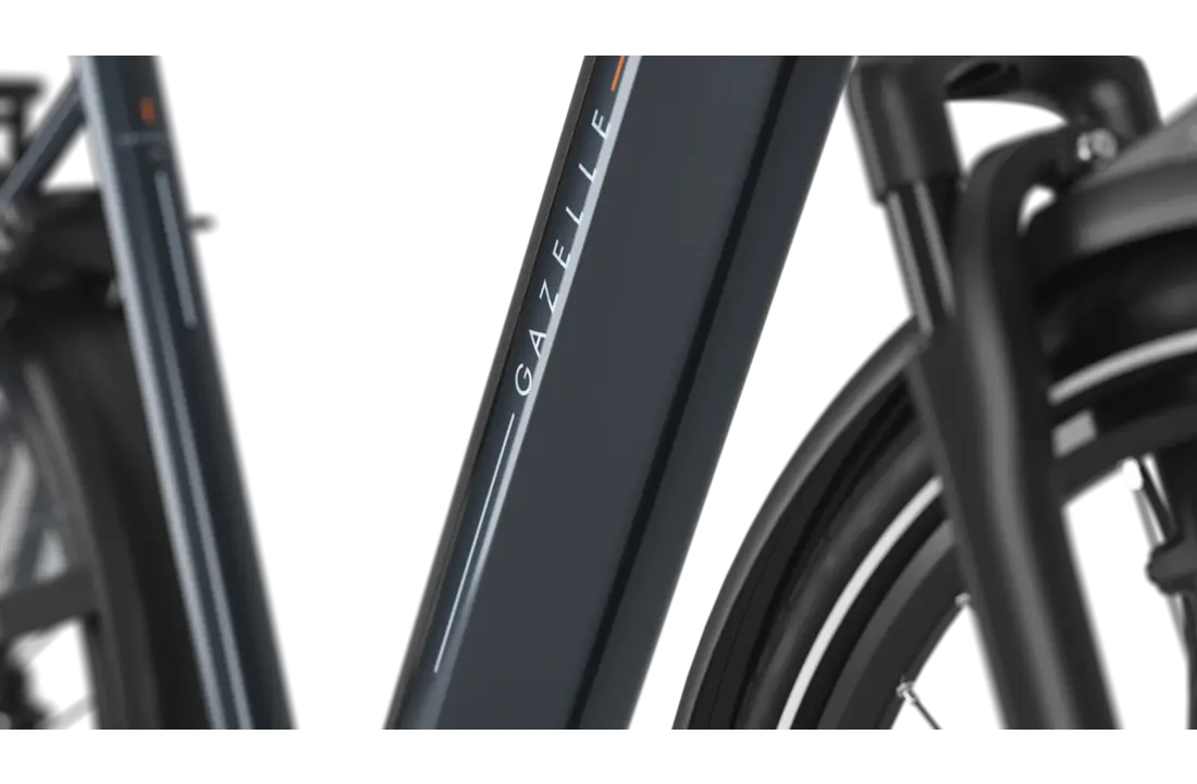 Gazelle Grenoble 3.0 C5 HMB S5 Heren - Anthracite Grey (glans)