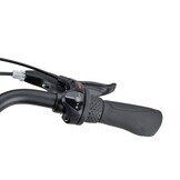 Batavus Fonk DN3 dames - zwart mat