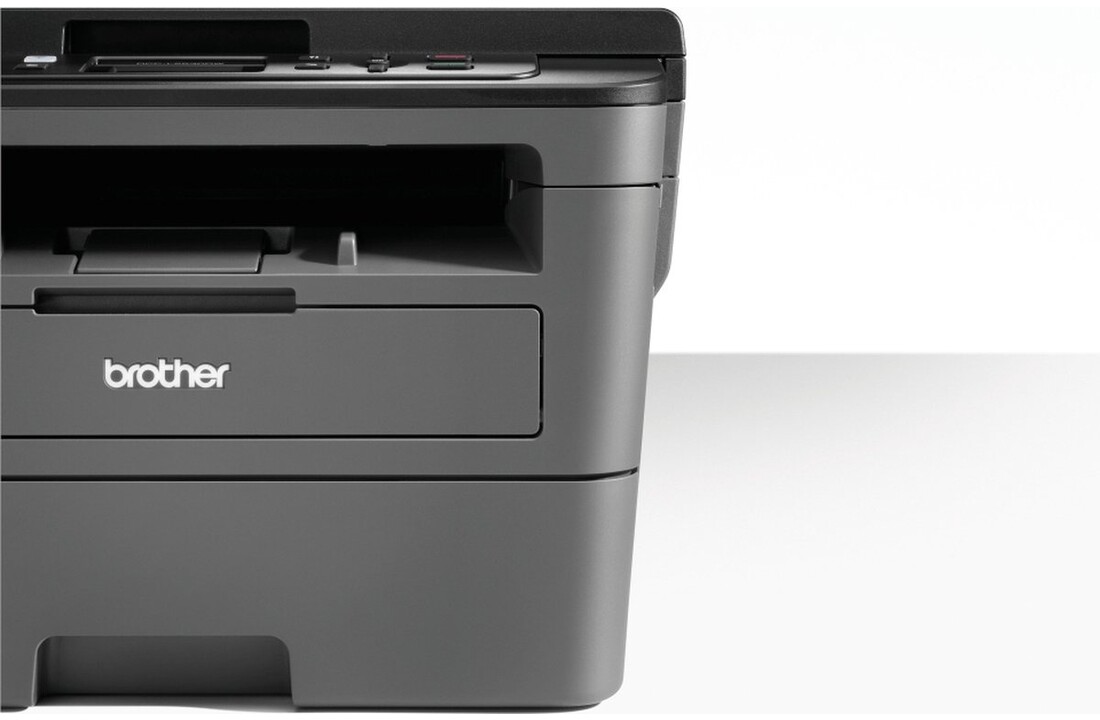 Brother DCP-L2530DW - All-in-one printer