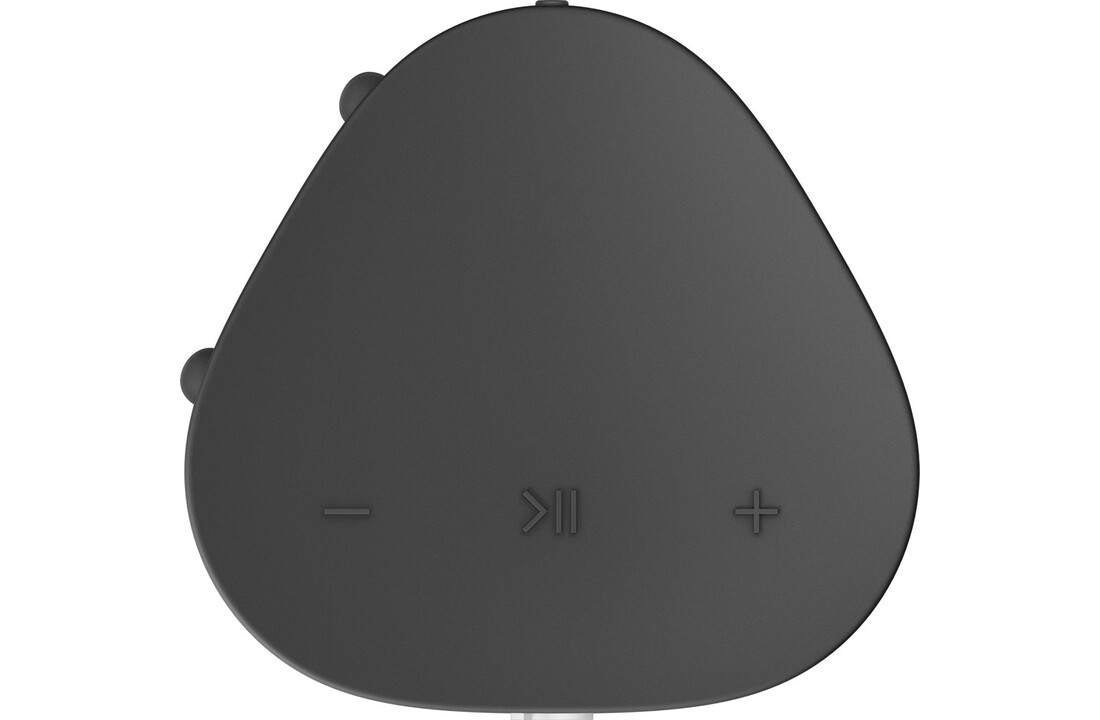 Sonos Roam SL (Zwart) - Hifi speaker