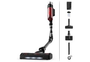 Rowenta RH2087 X-Force Flex 9.60 Animal & Parket - Steelstofzuiger