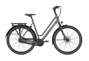 Gazelle Chamonix C8 Dames T8 - Clay Green(mat)