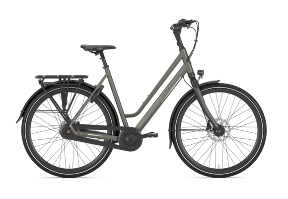 Gazelle Chamonix C8 Dames T8 - Clay Green(mat)