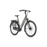 Gazelle Chamonix C8 Dames T8 - Clay Green(mat)