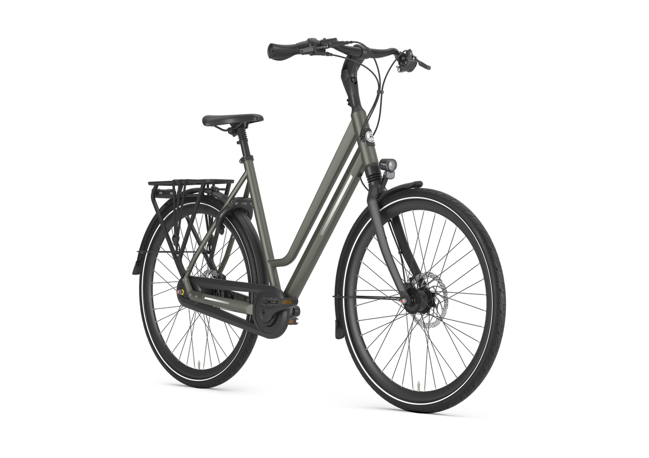 Gazelle Chamonix C8 Dames T8 - Clay Green(mat)