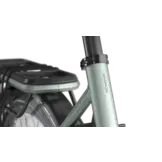 Gazelle Avignon C380+ SE - 540 Wh Dames - Twilight Green (mat)