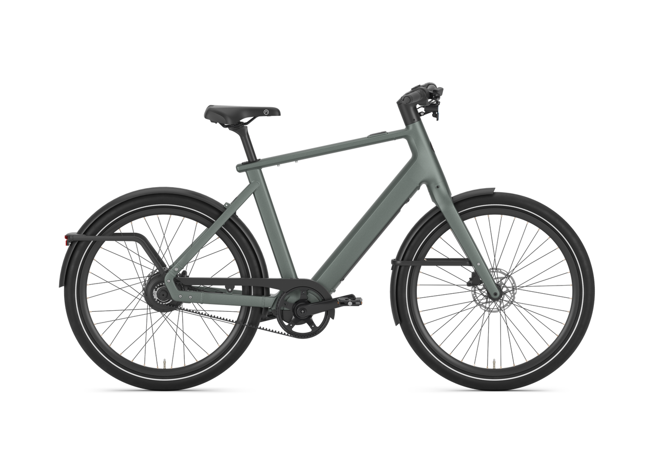 Gazelle Cayo C310 SE - 430 Wh Heren - Twilight Green (mat)