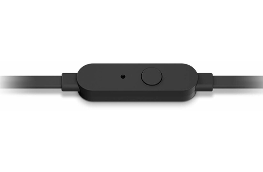 JBL T290 Zwart - Oordopjes