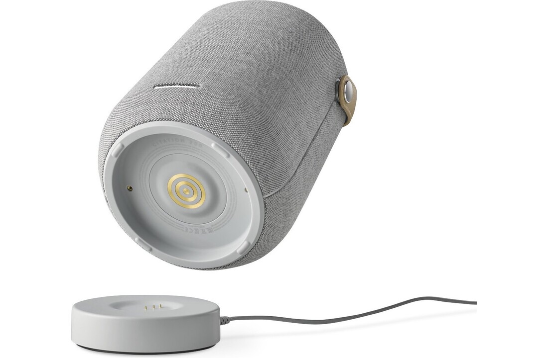 Harman Kardon Citation 200 Grijs - Draadloze speaker