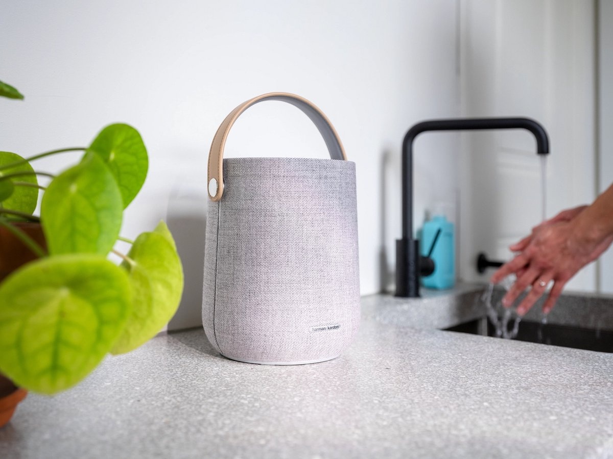 Harman Kardon Citation 200 Grijs - Draadloze speaker