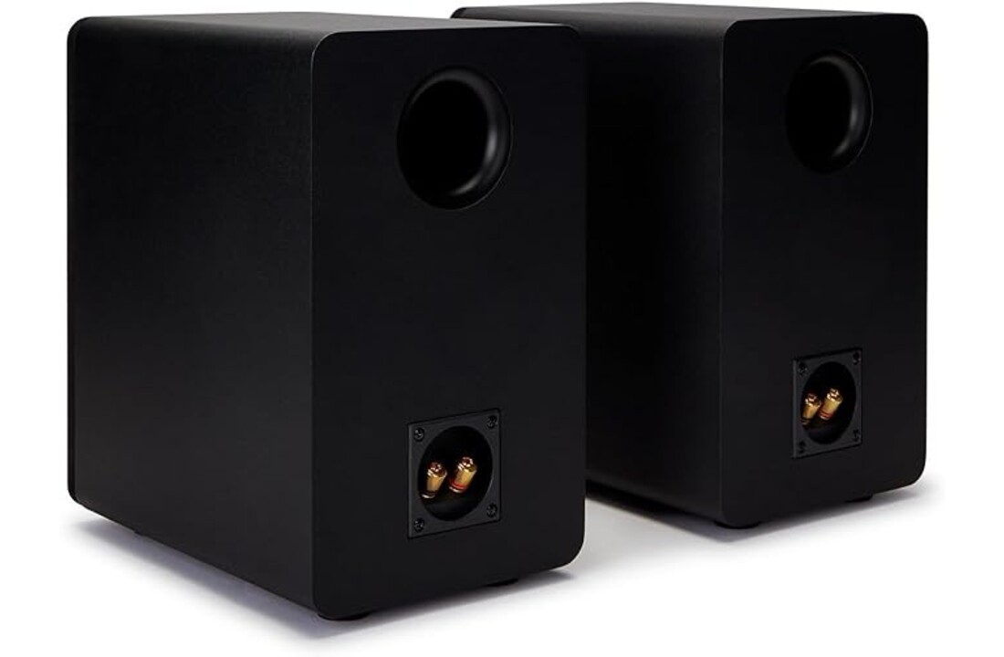 Aiwa SP-A100 - Hifi speaker