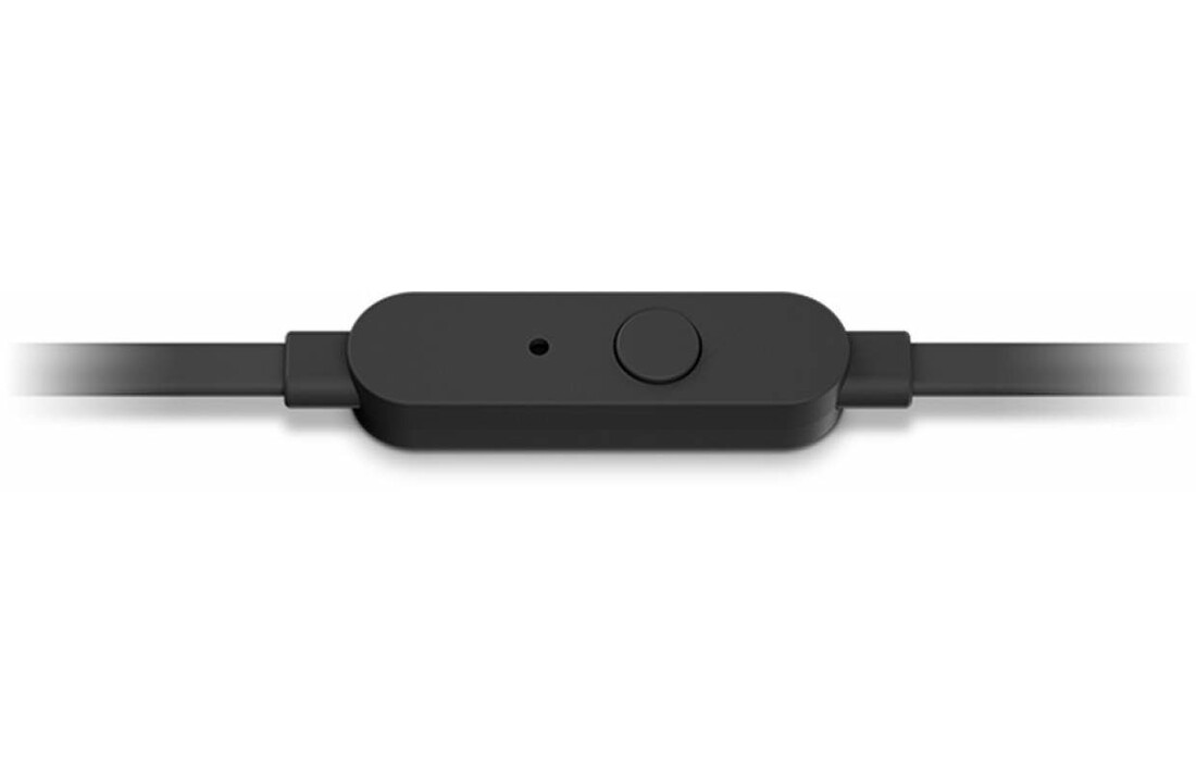 JBL T210 Zwart - Oordopjes