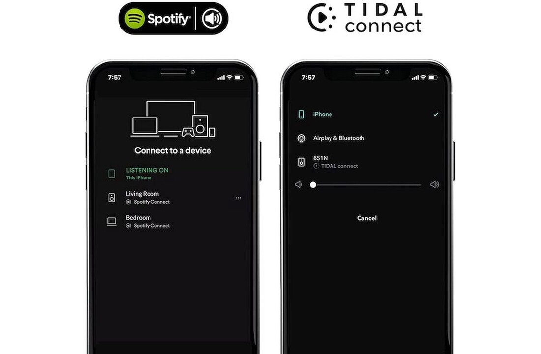WiiM Mini Audio streamer - Mediaspeler