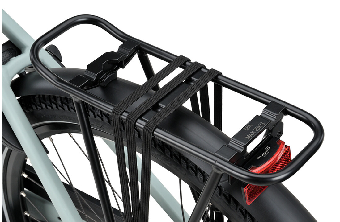 Batavus Altura PT Pro Dames 5 Grey Turquoise matt