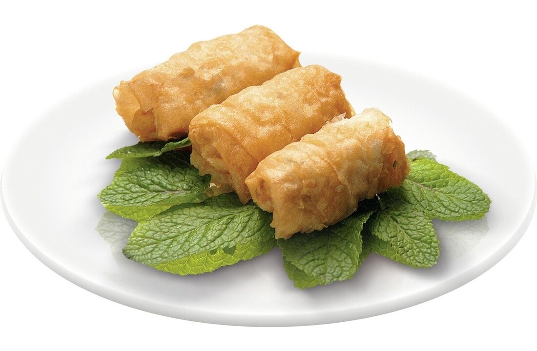 Tefal Mega XXL FR4800 - Frituurpan