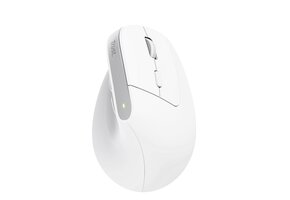 Trust Bayo+ Wit - Muis