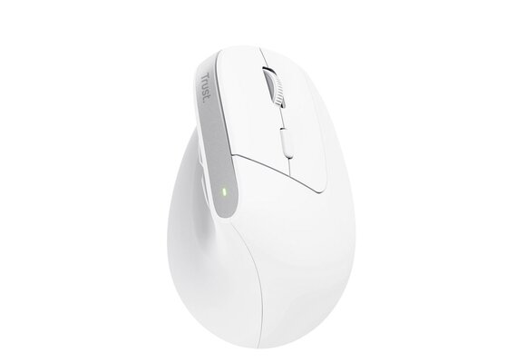 Trust Bayo+ Wit - Muis