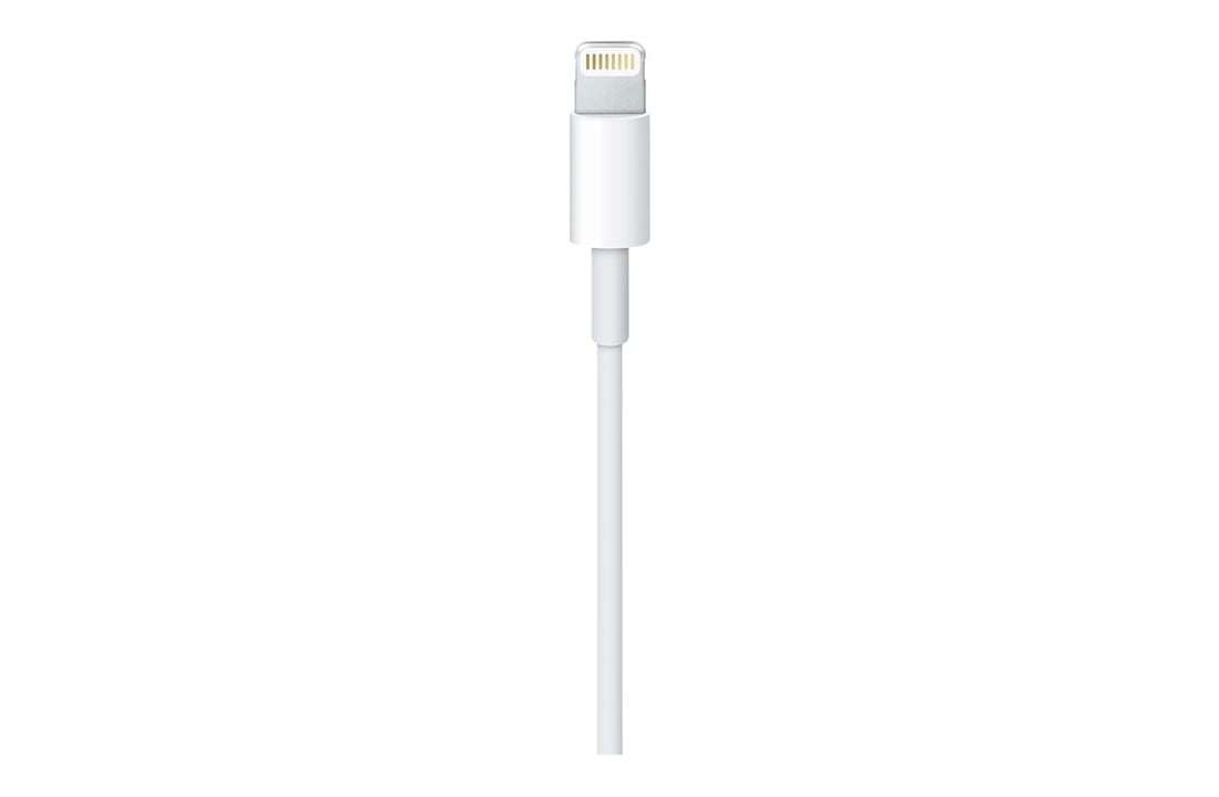 Apple Lightning to USB Cable 1 Meter