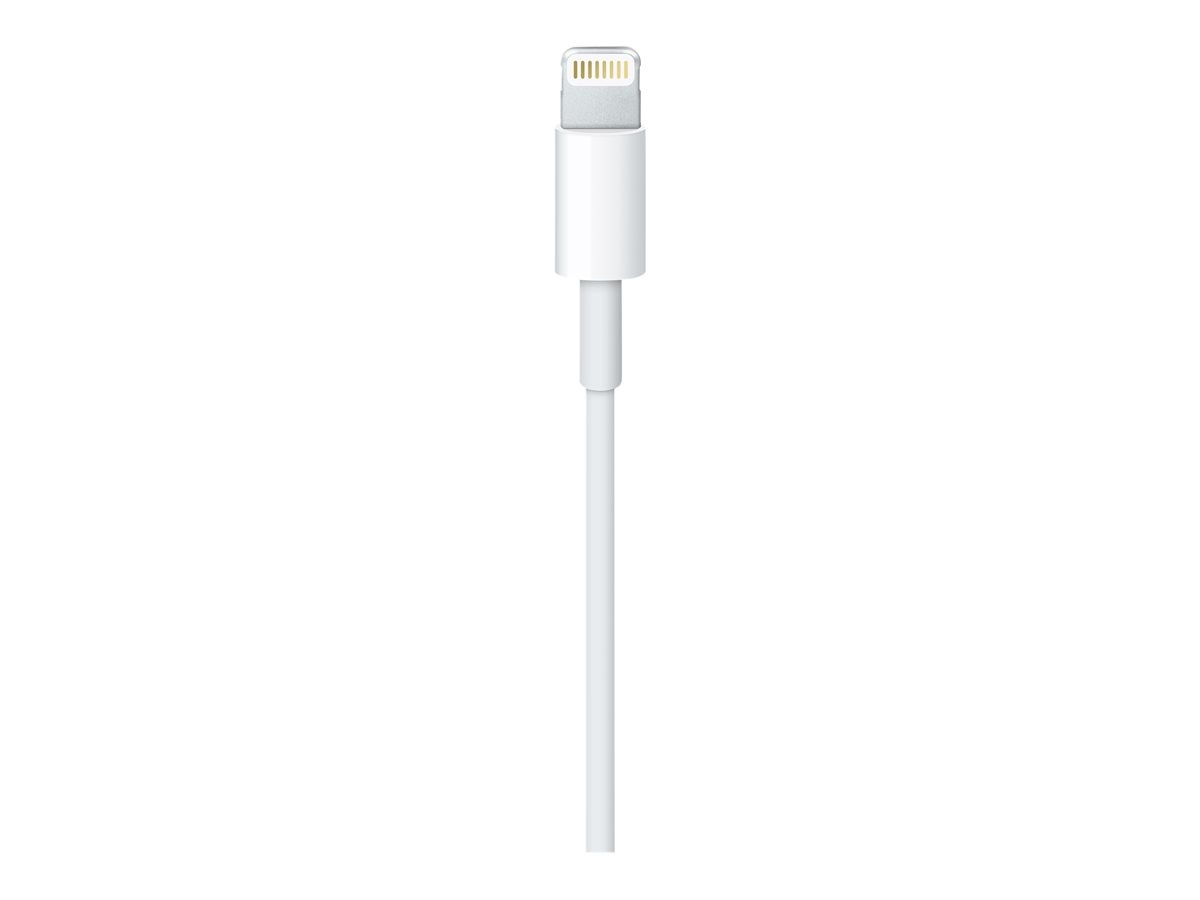Apple Lightning to USB Cable 1 Meter