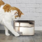 Ufesa PetBuddy Drink