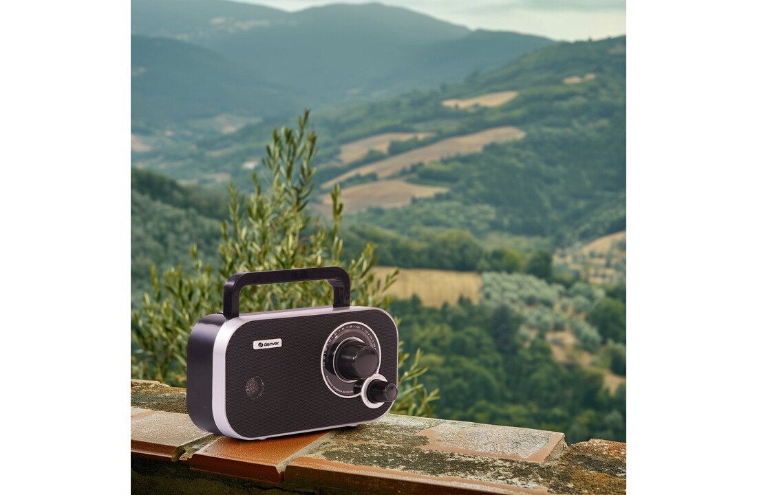 Denver TR-51 Zwart - Radio