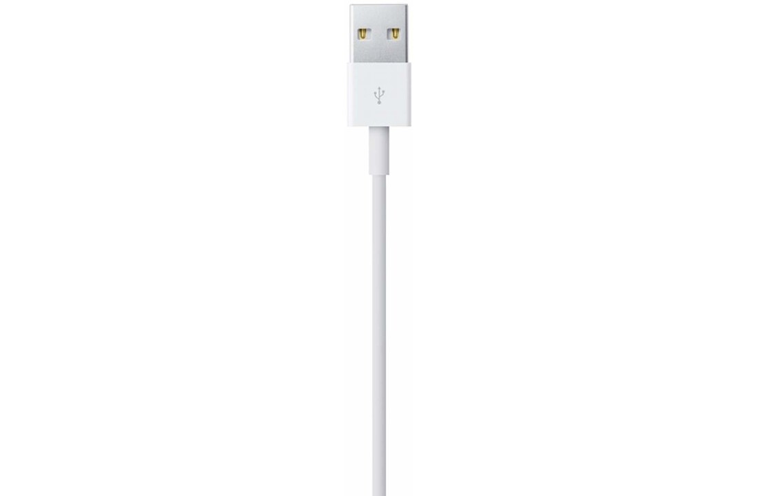 Apple Lightning to USB Cable 1 Meter