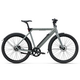 Raleigh One - 360 Wh Heren - Sage Grey